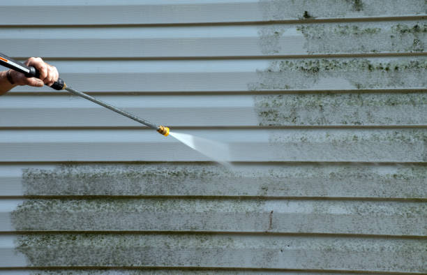 Best Professional Mold Removal  in Fort Bliss, TX